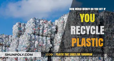 Earning from Recycling: How Much Money Can Plastic Recycling Yield?