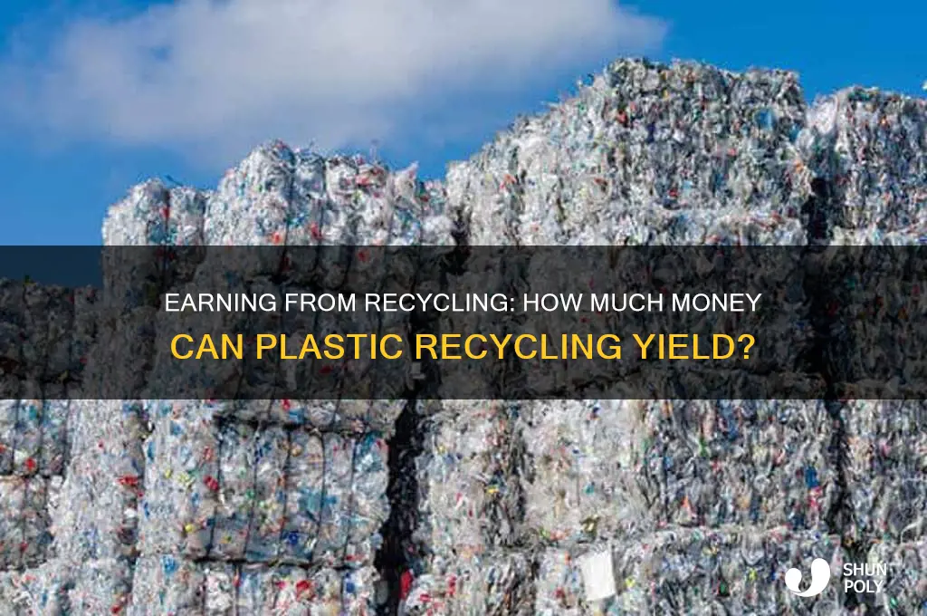 how much money do you get if you recycle plastic