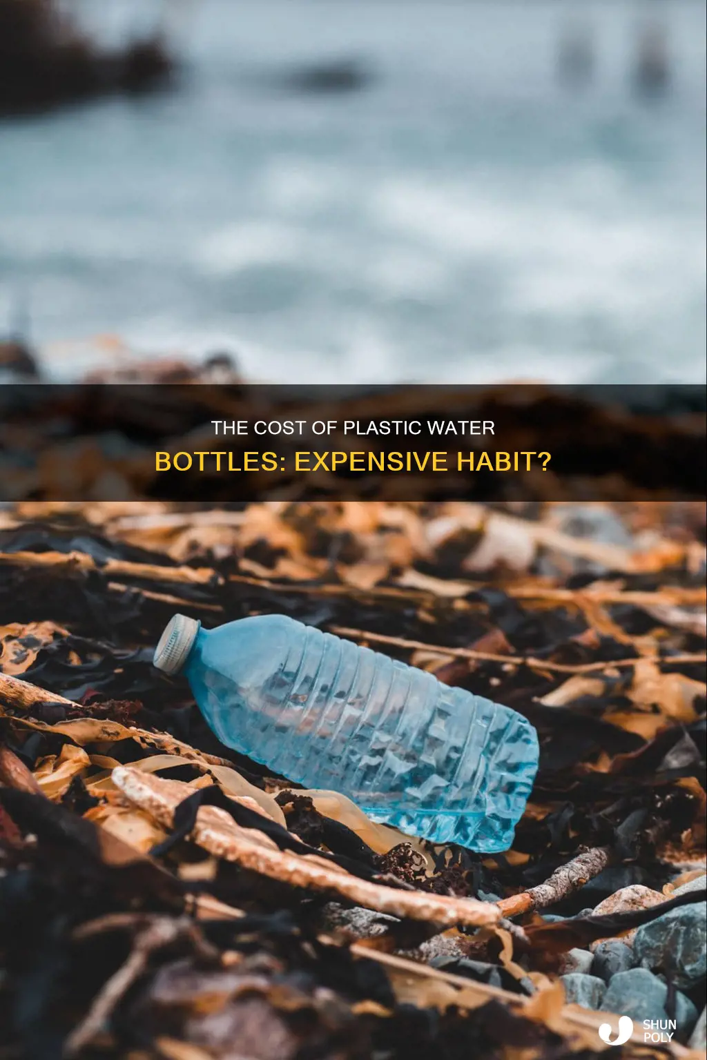 how much money does 1 plastic water bolttle cost