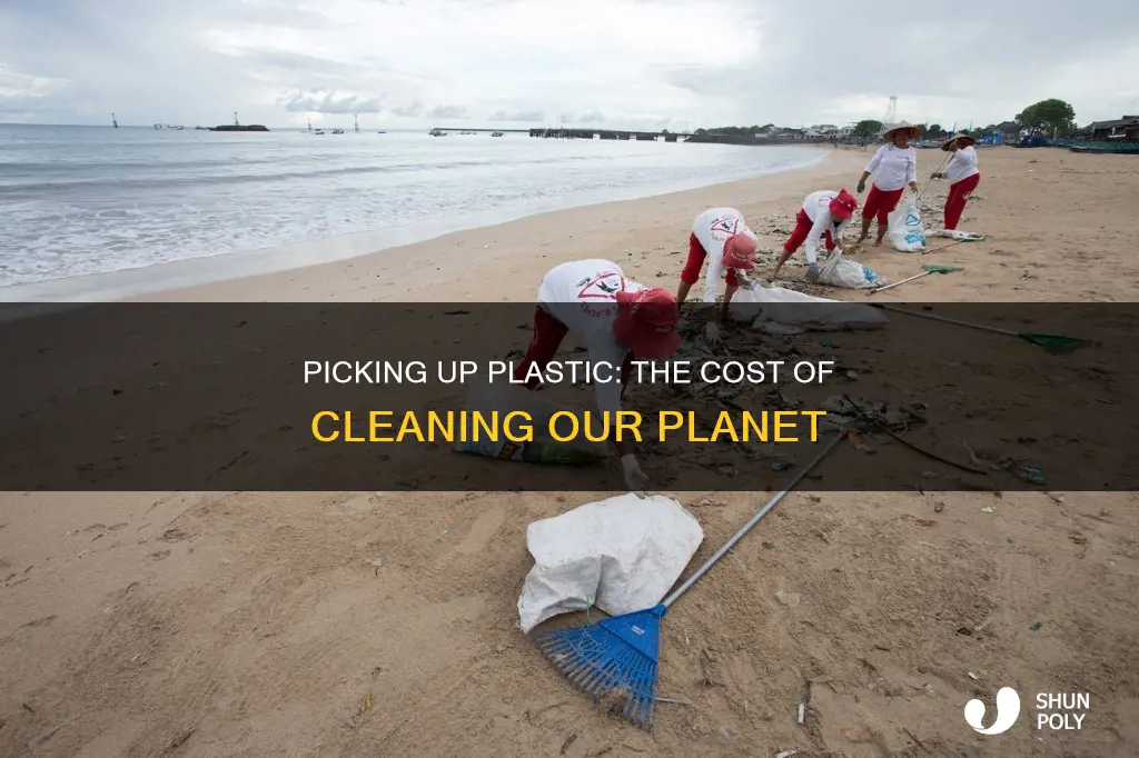 how much money does it cost to pick up plastic