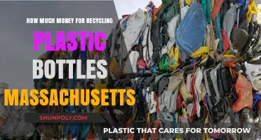 Massachusetts Plastic Bottle Recycling: How Much Money Can You Earn?
