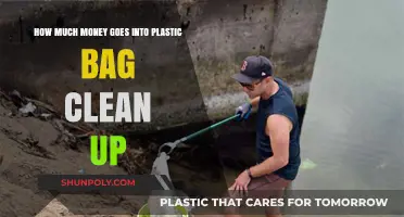 The Hidden Costs of Plastic Bag Pollution: Cleanup Expenses Revealed