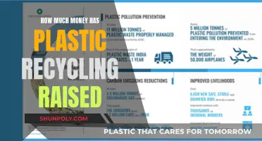 Recycling Plastic: How Much Money Is Generated?