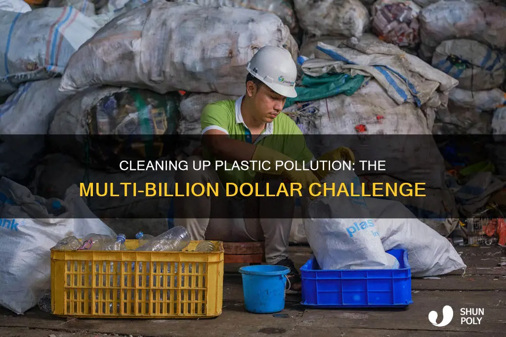 how much money have spent to clean up the plastic