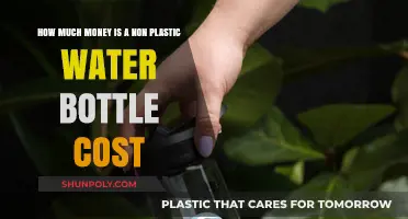 Eco-Friendly Hydration: The Cost of Non-Plastic Water Bottles