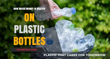 The Shocking Cost of Plastic Bottle Waste: A Global Crisis