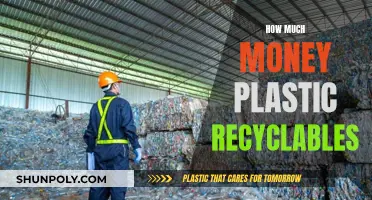 Lucrative Plastic Recycling: Uncovering the Monetary Potential