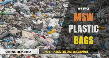 Understanding MSW Plastic Bag Waste: Impact and Reduction Strategies