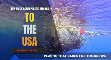 The USA's Contribution to Ocean Plastic Pollution