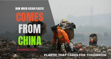 China's Ocean Plastic Problem: An Environmental Crisis