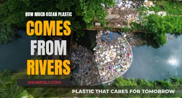 Rivers: The Ocean's Plastic Source?