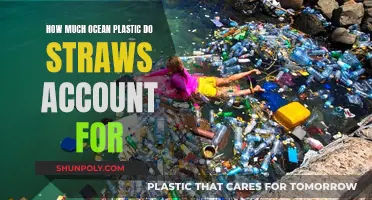 The Dark Truth of Straws and Ocean Pollution