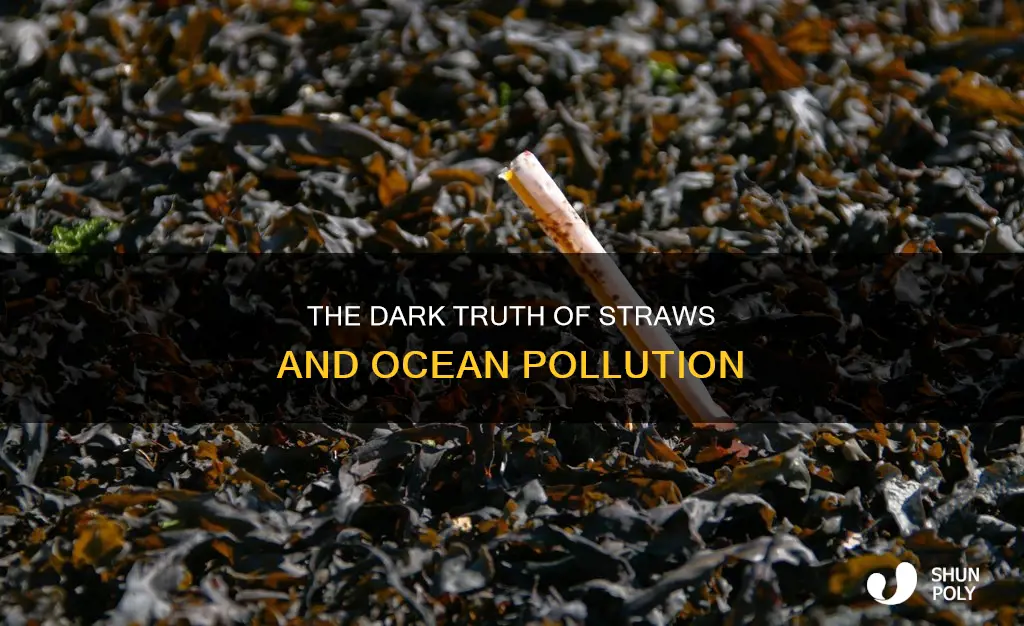 how much ocean plastic do straws account for