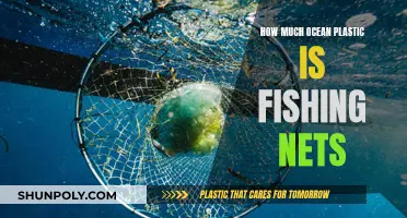 Fishing Nets: Ocean Plastic's Deadliest Killer?