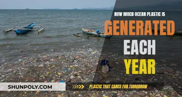 The Ocean's Plastic Crisis: An Annual Generation Problem