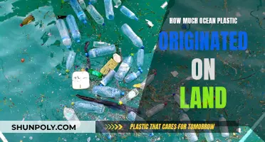 Land-Based Sources of Ocean Plastic: A Comprehensive Overview