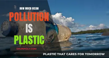 Plastic Pollution: Ocean's Biggest Threat?