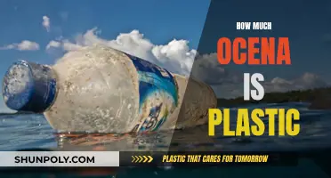 The Ocean's Plastic Problem: An Environmental Catastrophe