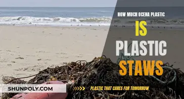 Ocean Plastic: Are Straws the Main Culprit?