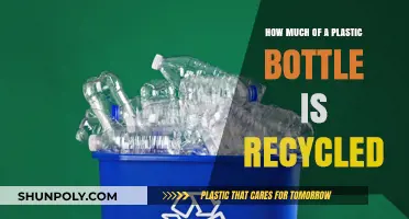 Unveiling the Truth: Plastic Bottle Recycling Rates and Realities