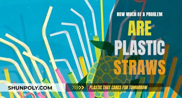 Plastic Straws: Harmful Convenience or Environmental Disaster?