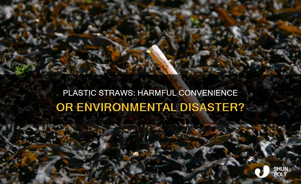 how much of a problem are plastic straws