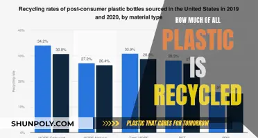 Recycling Reality: Plastic's Poor Performance