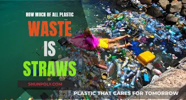 The Impact of Straws in Our Plastic Waste Crisis