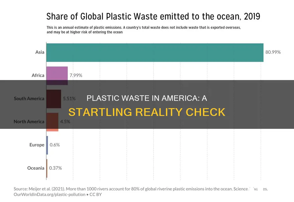 how much of amaerican waste is plastic