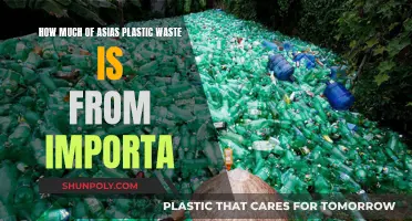 Asia's Plastic Waste Crisis: Impact of Imports