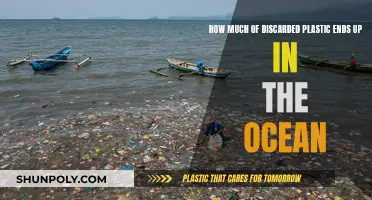 Ocean Pollution: Understanding Plastic's Impact and Fate