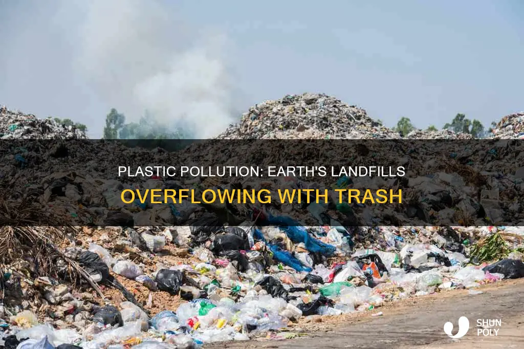 how much of earth do plastic landfills take up