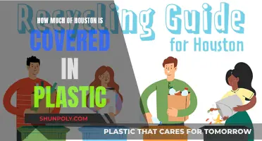 Plastic Pollution in Houston: A City Covered?