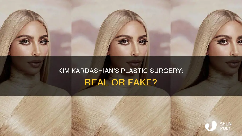 how much of kim kardashian is plastic