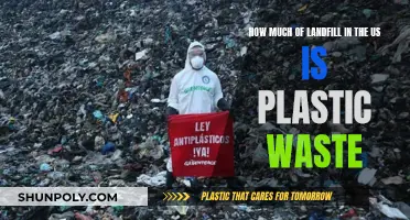 Plastic Waste: America's Landfills Crisis