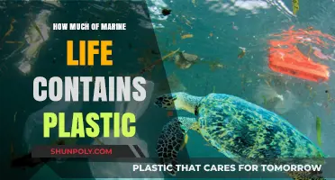 Plastic Pollution: Marine Life's Plastic Consumption