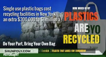 The Big Apple's Plastic Recycling Efforts: How Effective?