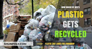 NYC's Plastic Recycling Reality: How Much Actually Gets Recycled?
