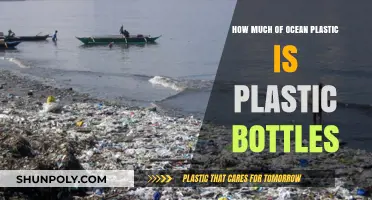 Ocean Plastic Crisis: Bottles' Role in Marine Pollution Revealed