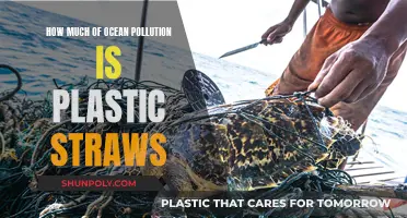 Plastic Straws: Ocean Polluters or a Small Fraction?