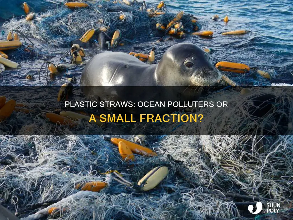 how much of ocean pollution is plastic straws