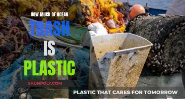 Plastic Pollution: Ocean Trash Crisis