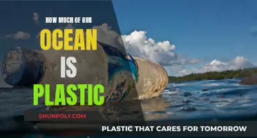 Our Ocean's Plastic Problem: An Environmental Crisis