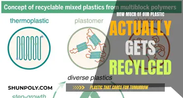 The Plastic Recycling Myth: What Really Happens to Our Waste?