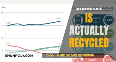 The Plastic Recycling Myth: What Really Happens to Our Waste?