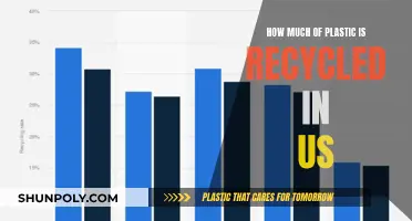 Plastic Recycling Rates: US's Progress and Challenges