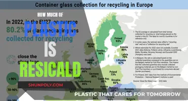 Recycling Plastic: How Much of It Actually Gets Recycled?