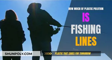 Fishing Lines: A Major Plastic Polluter in Oceans