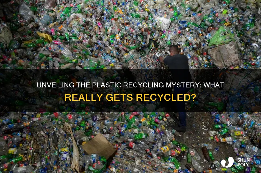 how much of recyclables in plastic