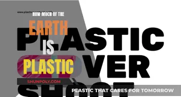 Plastic Pollution: Earth's Plastic Problem